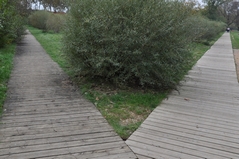 Cliquez sur la vignette pour l'agrandir